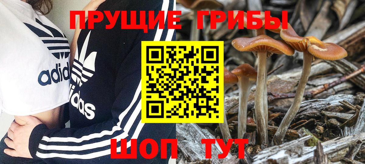 Псилоцибиновые грибы Psilocybine cubensis  Вход с VPN  Ухта 